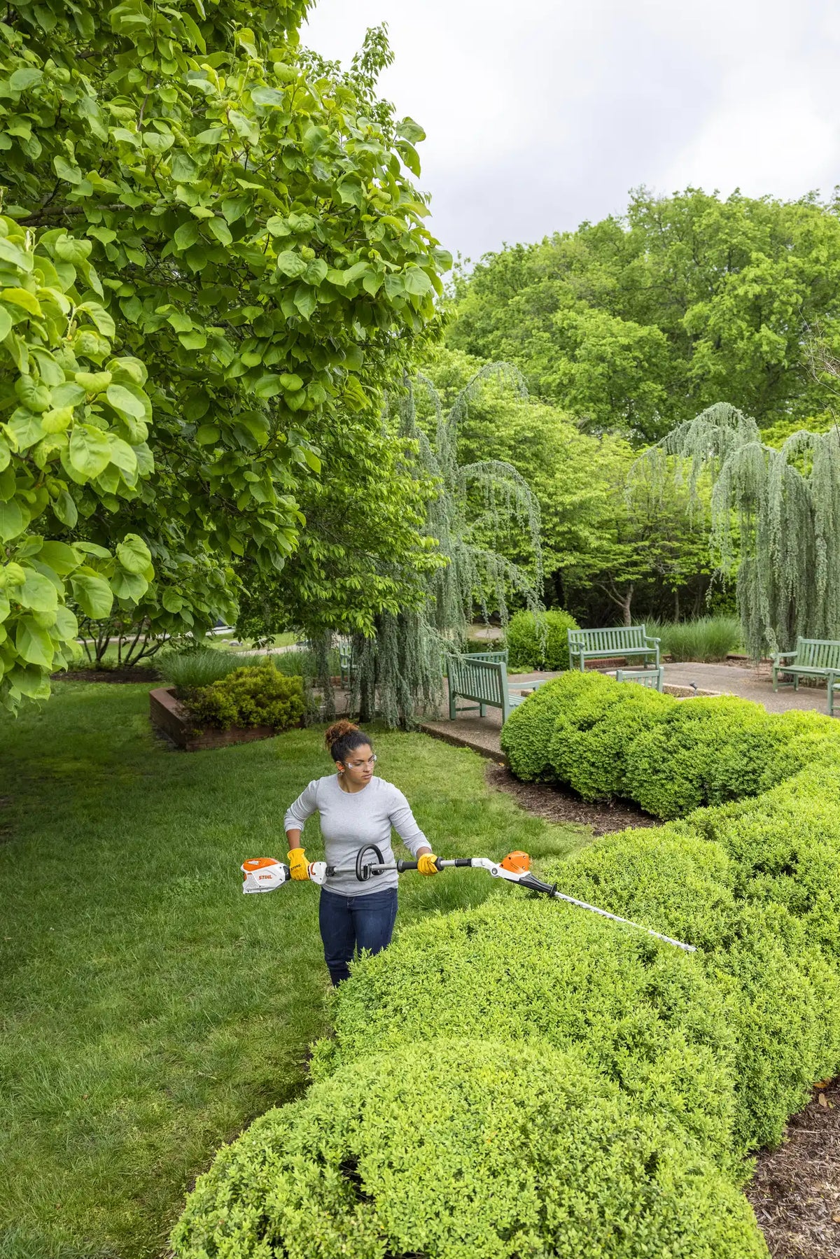 HLA 66 Battery Powered extended-reach Hedge Trimmer